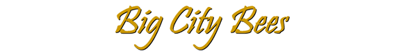Big City Bees - a Children's Book by Maggie de Vries